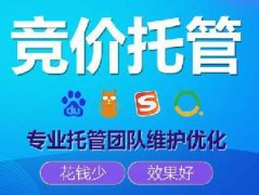 sem競價推廣托管哪家好