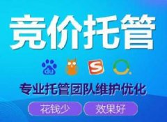 公司競價(jià)推廣托管公司